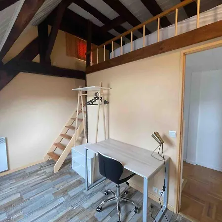 Beau Duplex Situe En Hypercentre D'angers