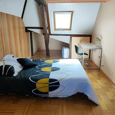 Appartement Beau Duplex Situe En Hypercentre D'angers *