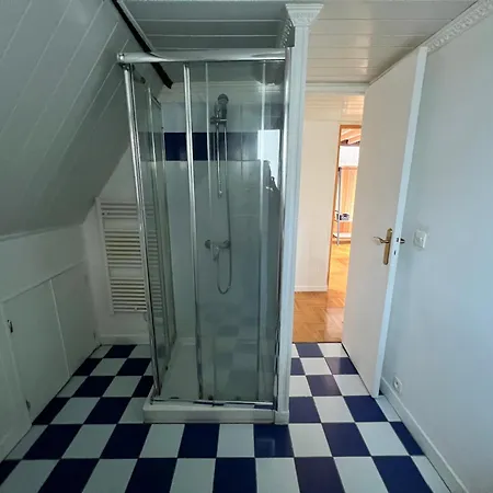 Beau Duplex Situe En Hypercentre D'angers
